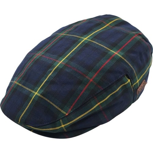 Scottish blue stewart - scottish, tartan